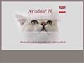 Ariadna *PL