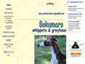 Bokamaro