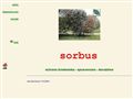 Sorbus